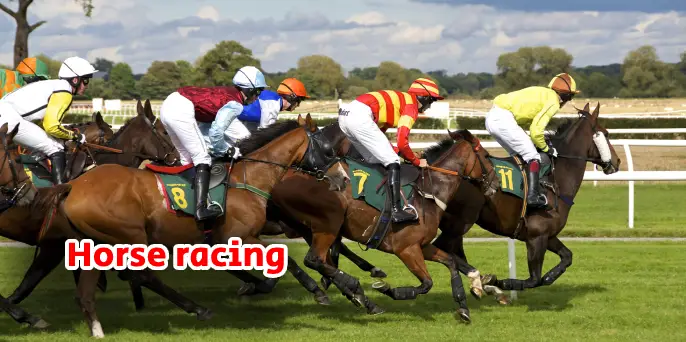 Horse racing